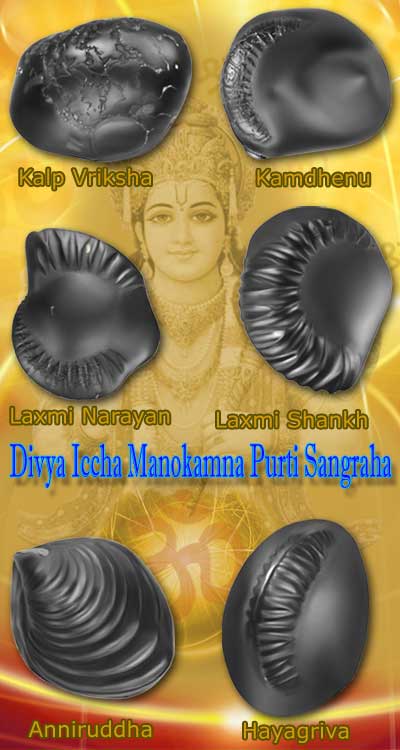 Auspicious Divya Iccha Manokamna Purti Sangraha